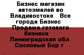 Бизнес магазин автоэмалей во Владивостоке - Все города Бизнес » Продажа готового бизнеса   . Ленинградская обл.,Сосновый Бор г.